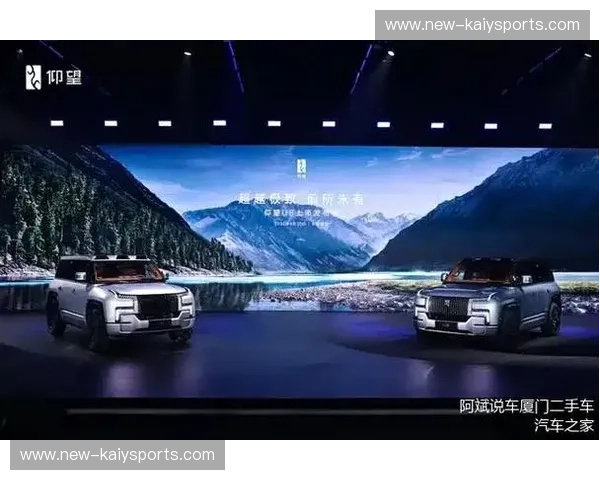 开启便捷未来——“开云快速通道”全新体验揭秘描述：探索“开云快速通道”的创新亮点与优势，让你的出行、购物、生活更加高效畅快。抓住这场技术变革的浪潮，享受前所未有的便捷生活。关键词：开云快速通道、便捷出行、智能服务、效率提升、科技创新